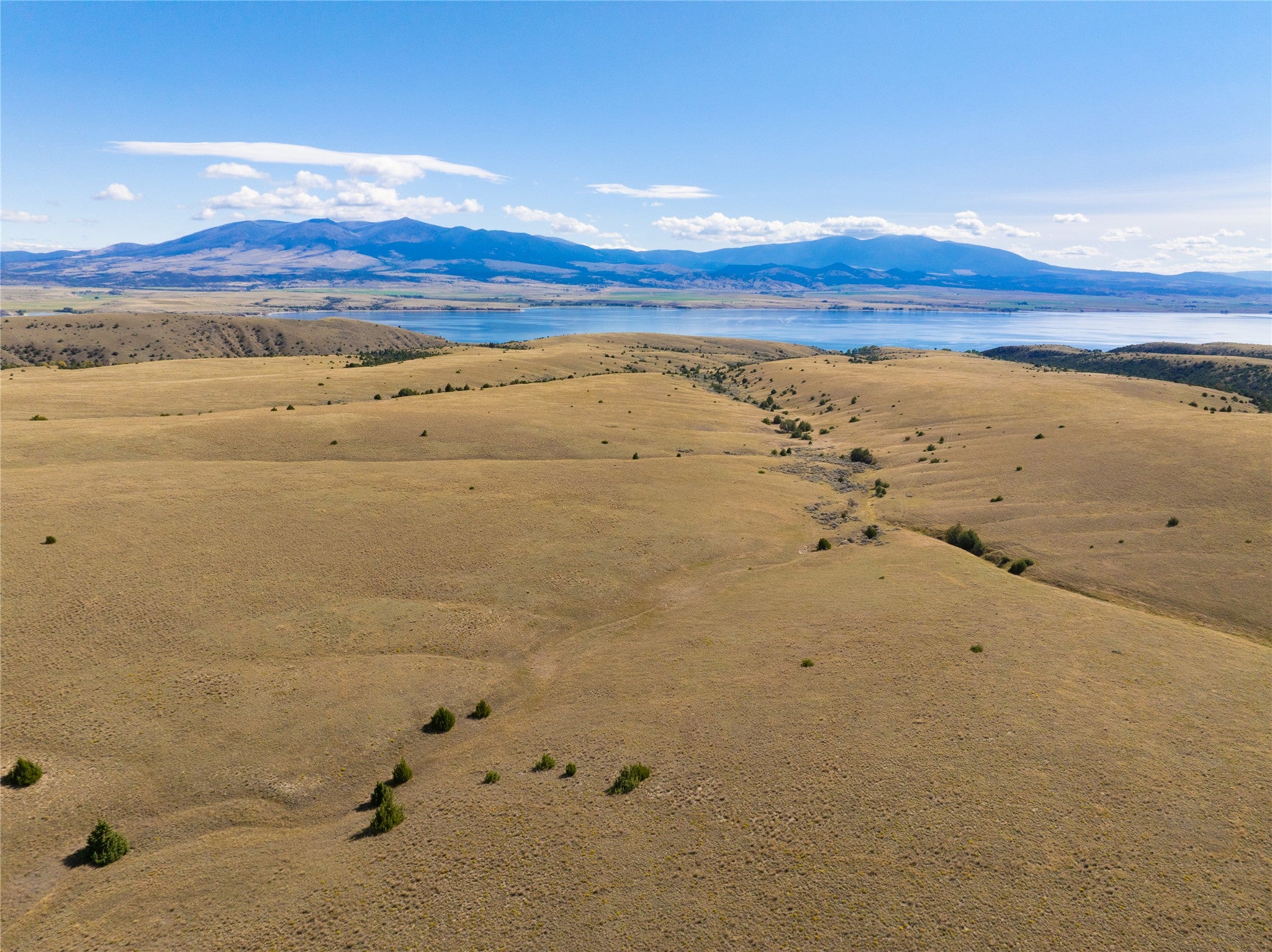 Tract 5A Open Range Trail - Photo 3