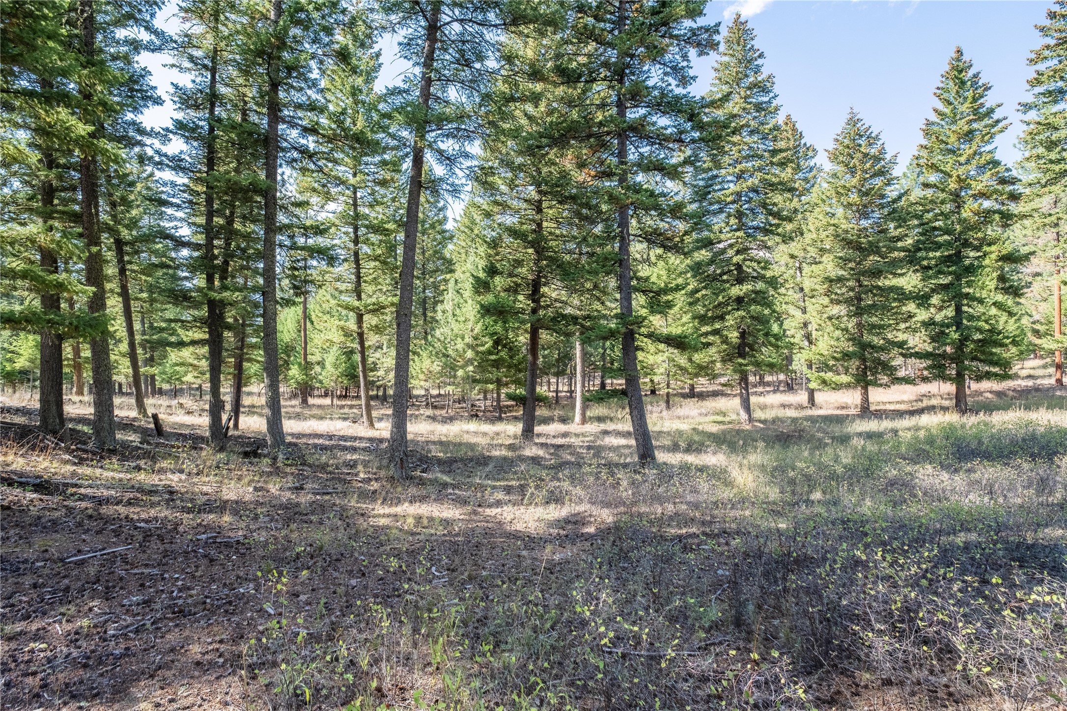 Lot 17 Caddisfly Court