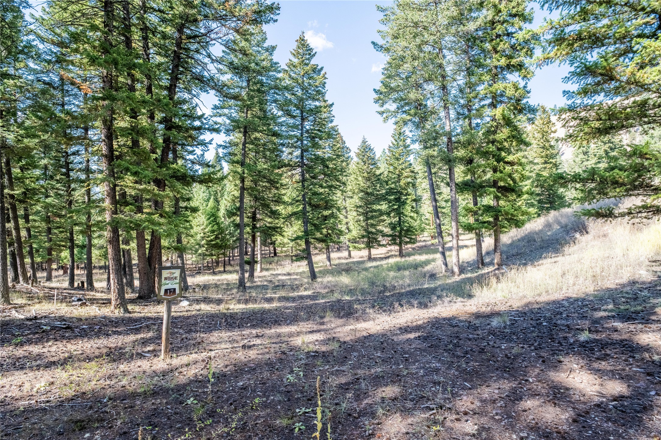 Lot 17 Caddisfly Court