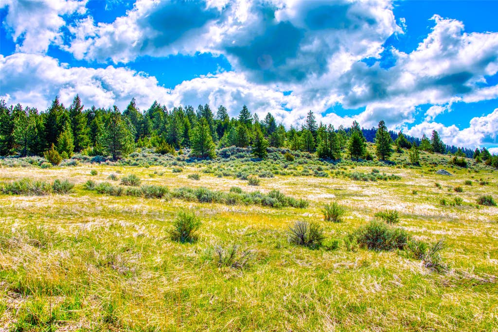 Photo of 2136 Blue Sage Trail, Corvallis, MT 59828 (MLS # 30072262)