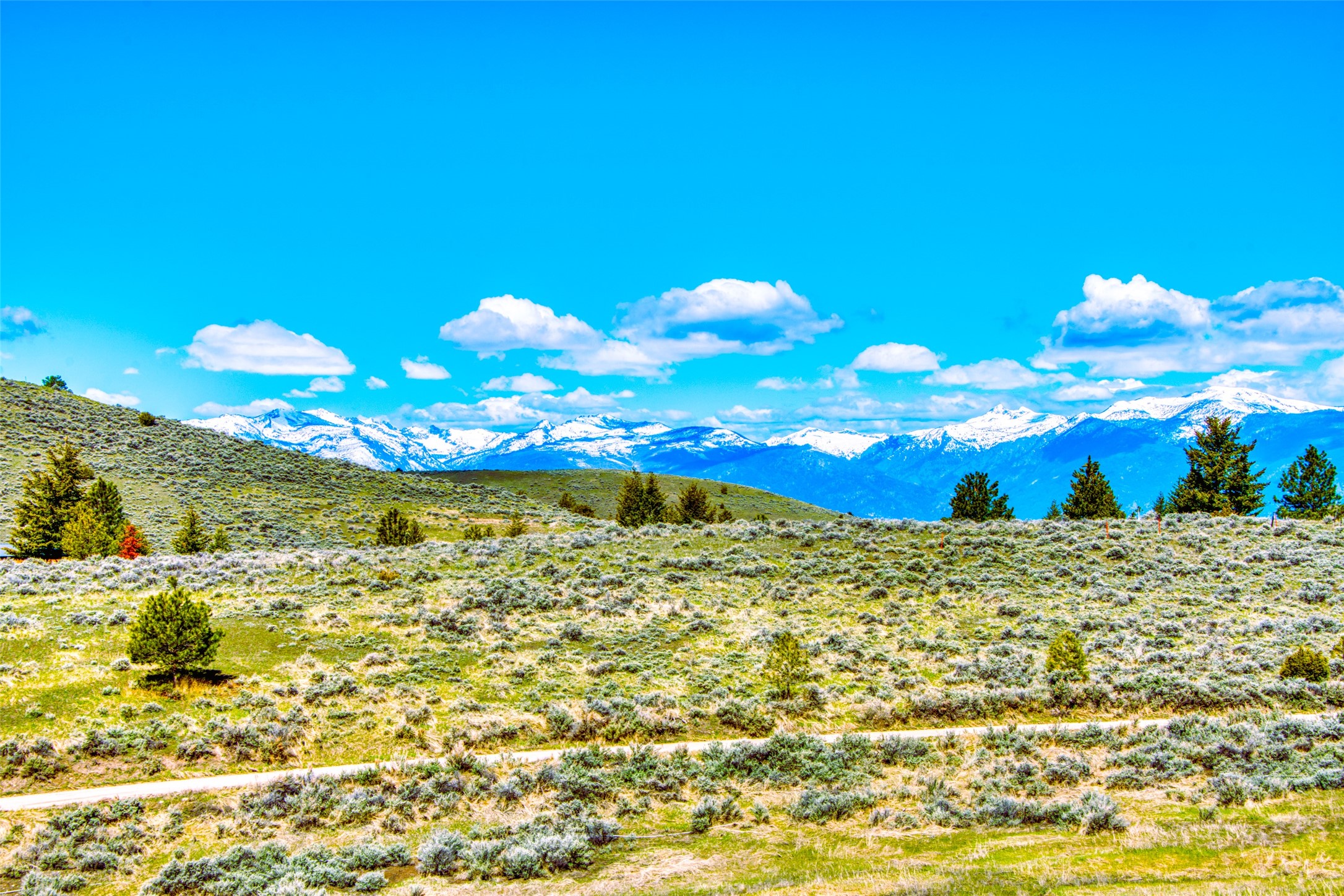 2136 Blue Sage Trail