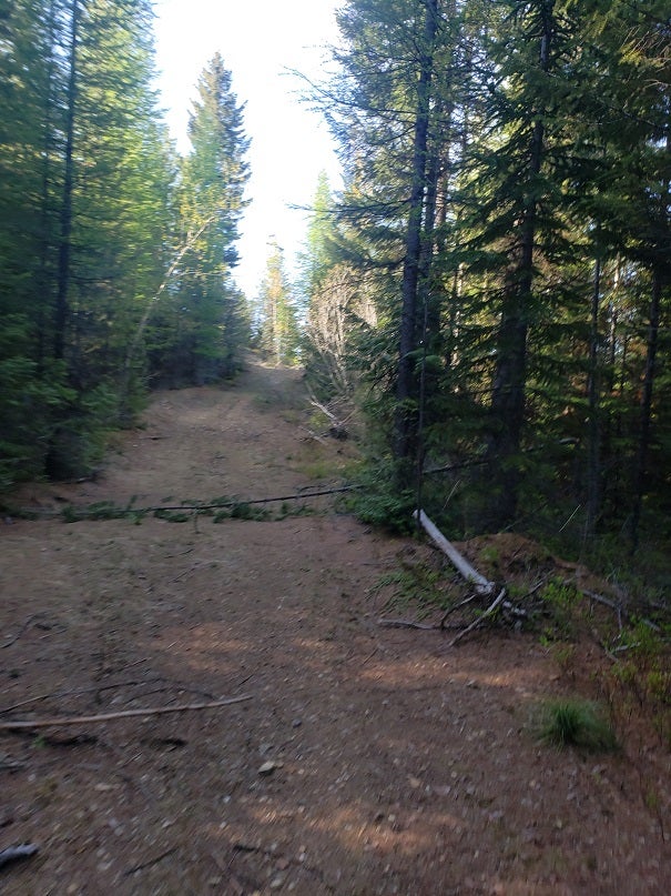 Tract 2 Nine Mile Road