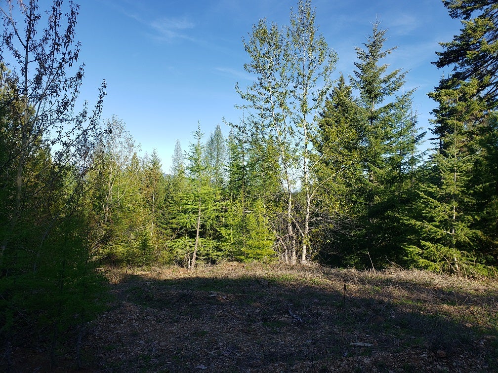 Tract 2 Nine Mile Road