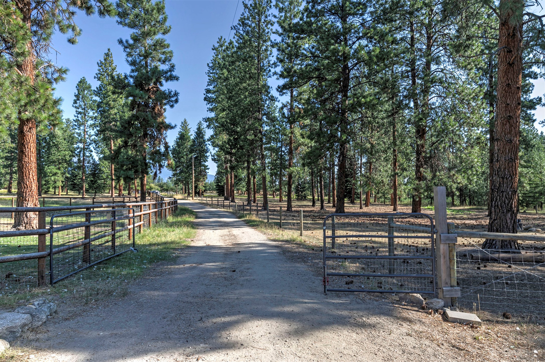 821 Fred Burr Road