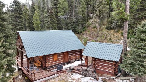 614 Wyman Gulch Road Philipsburg MT 59858