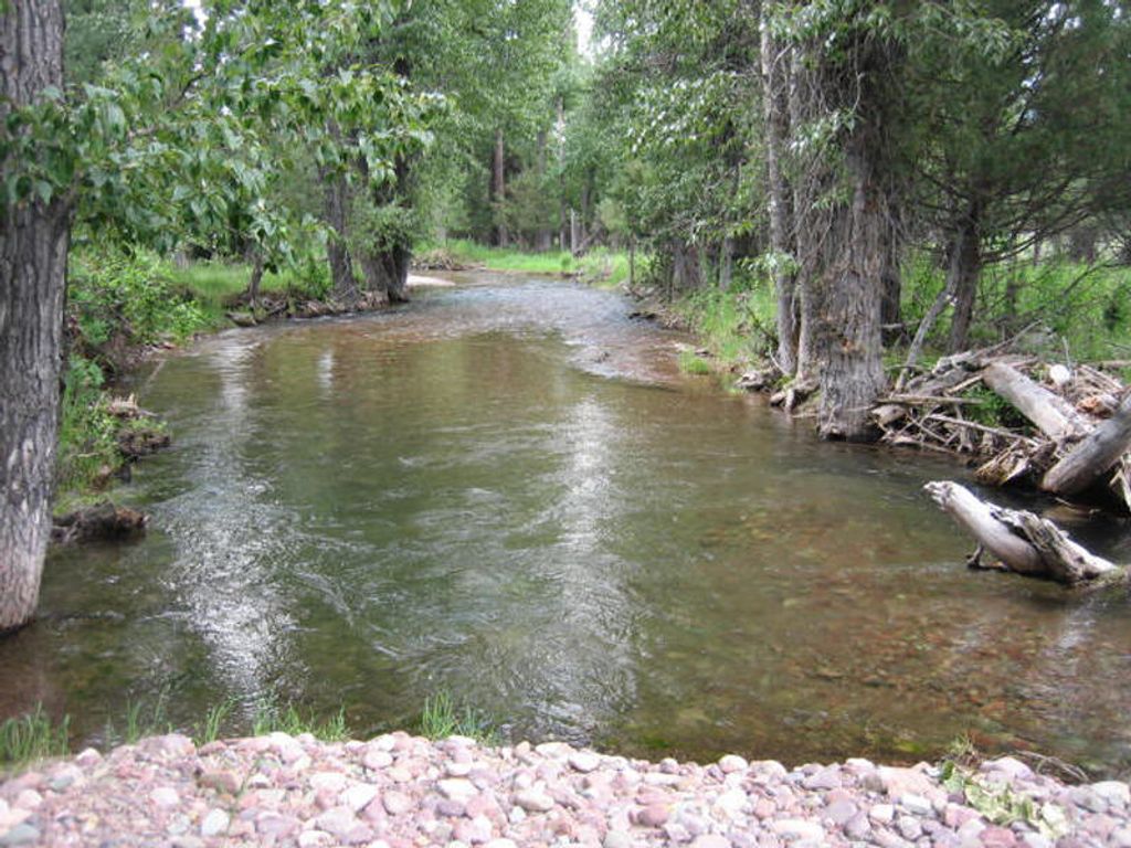 Photo of 2980 Hwy 83 N, Seeley Lake, MT 59868 (MLS # 30066956)