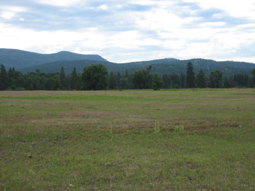 Photo of 2980 Hwy 83 N, Seeley Lake, MT 59868 (MLS # 30066956)