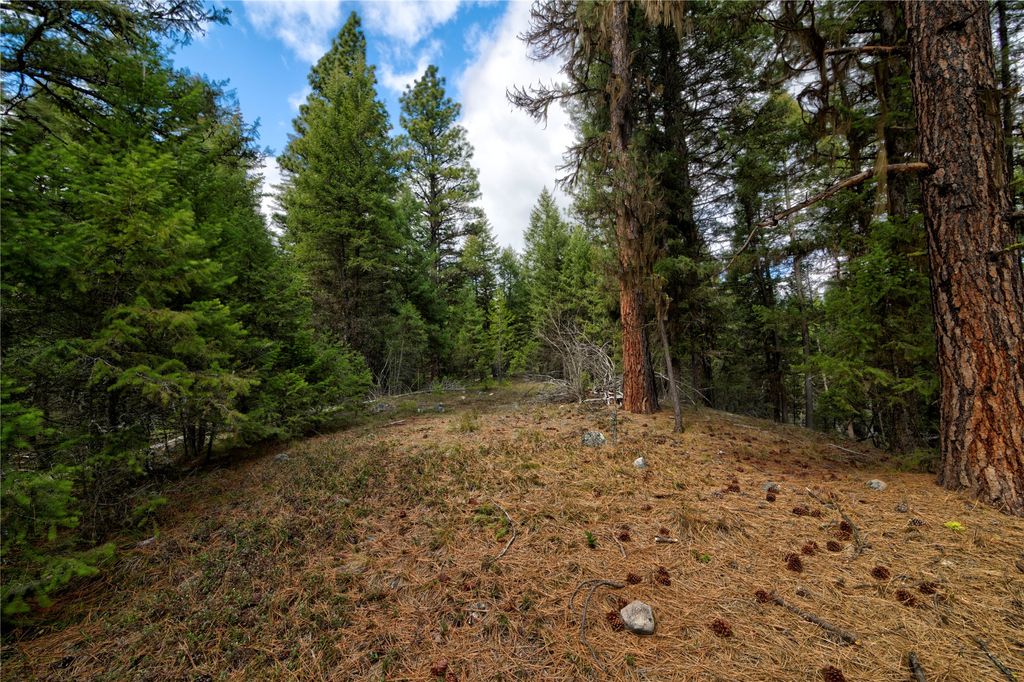 Photo of NHN Ravenwood Road, Darby, MT 59829 (MLS # 30066763)