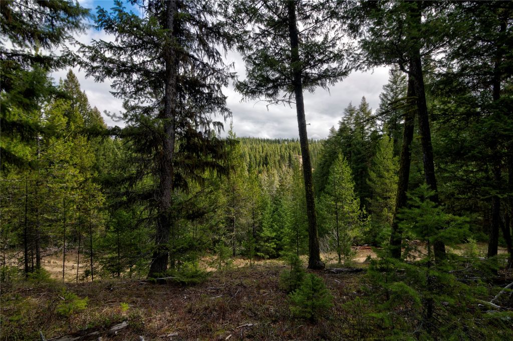 Photo of NHN Ravenwood Road, Darby, MT 59829 (MLS # 30066763)