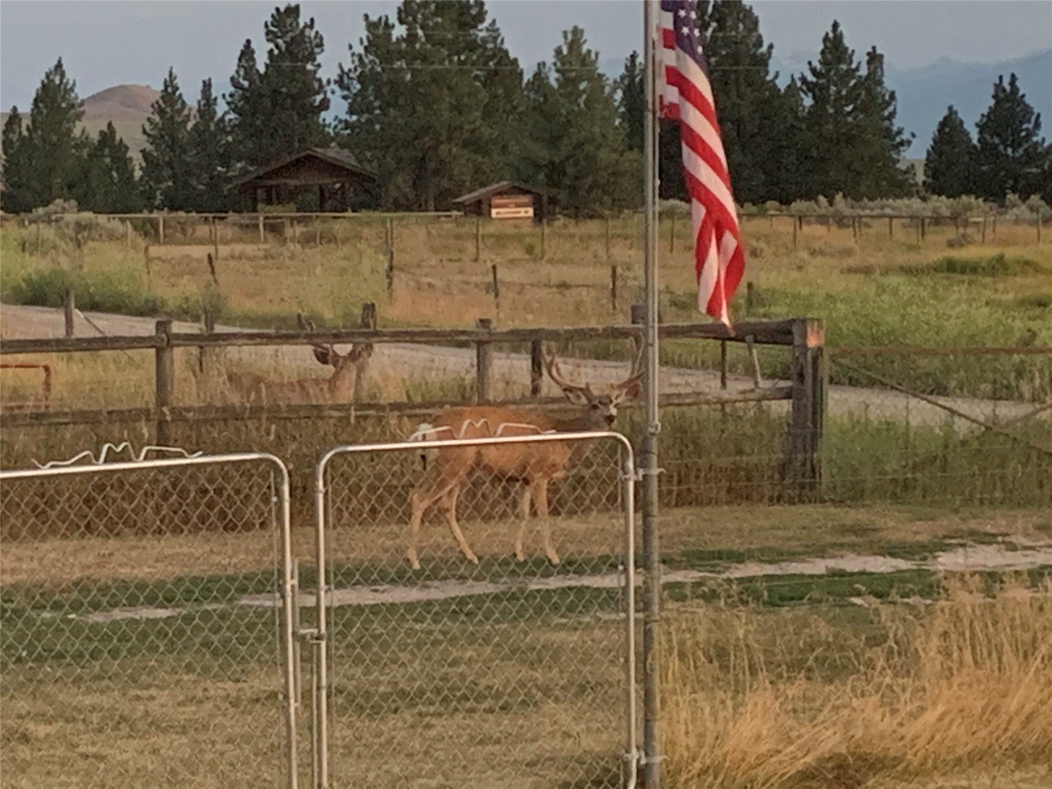 Stevensville, Montana 59870, United States, 2 Bedrooms Bedrooms, ,1 BathroomBathrooms,Residential,Active,152037