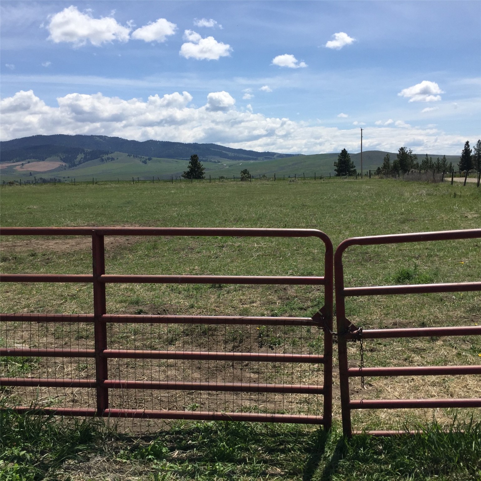 Stevensville, Montana 59870, United States, 2 Bedrooms Bedrooms, ,1 BathroomBathrooms,Residential,Active,152037