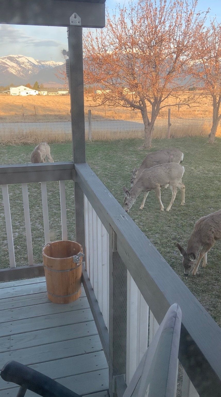 Stevensville, Montana 59870, United States, 2 Bedrooms Bedrooms, ,1 BathroomBathrooms,Residential,Active,152037