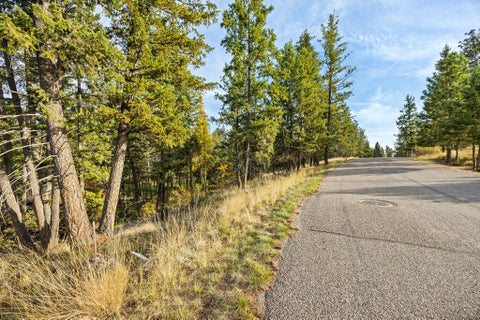 Photo of 147 Bjork Drive, Bigfork, MT 59911 (MLS # 30080082)