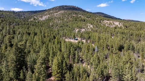 Tiny photo for 3080 Allen Gulch Road, Wolf Creek, MT 59648 (MLS # 30070242)