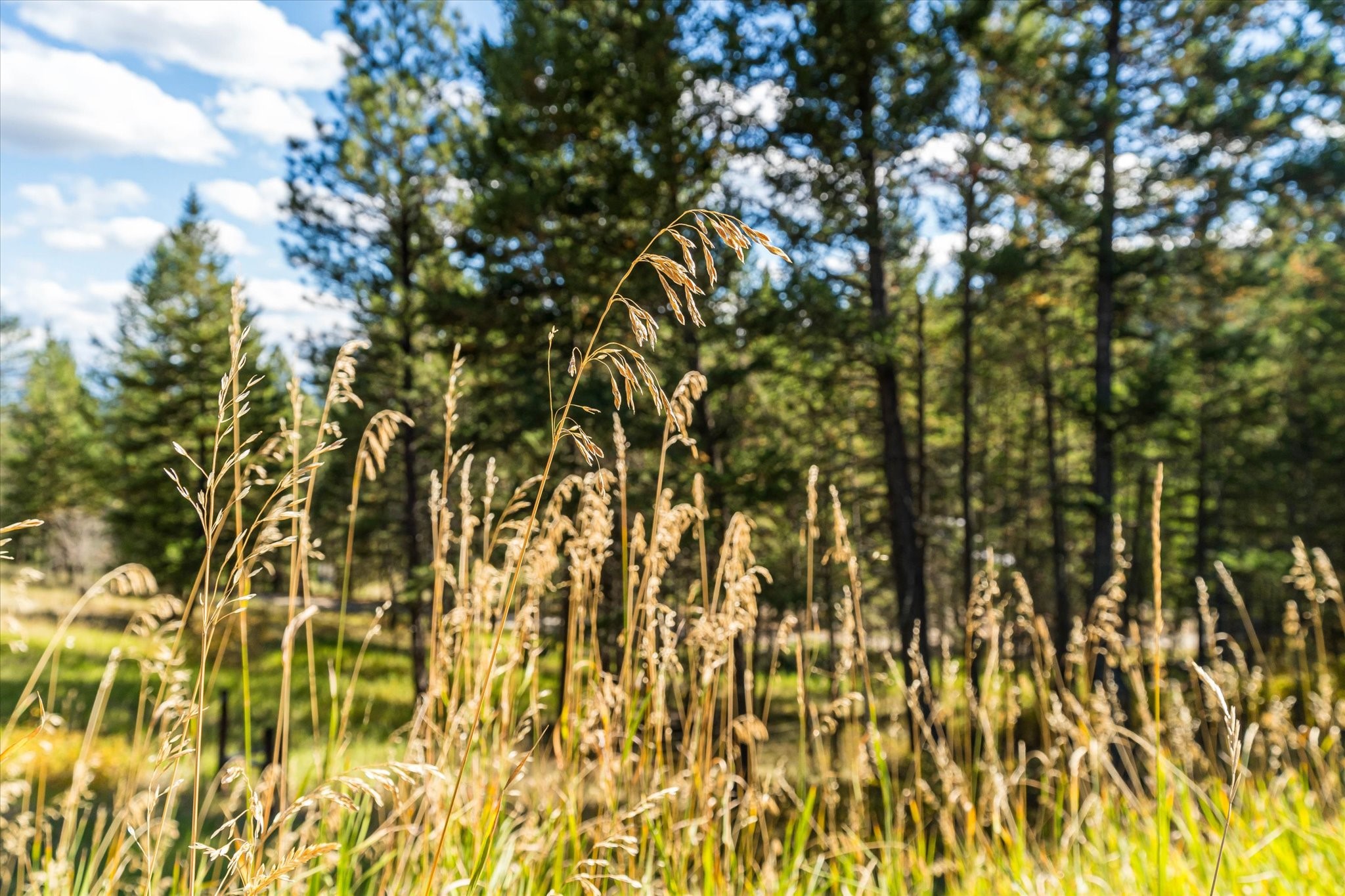 Kalispell, Montana 59901, United States, 2 Bedrooms Bedrooms, ,2 BathroomsBathrooms,Residential,Pending,43463