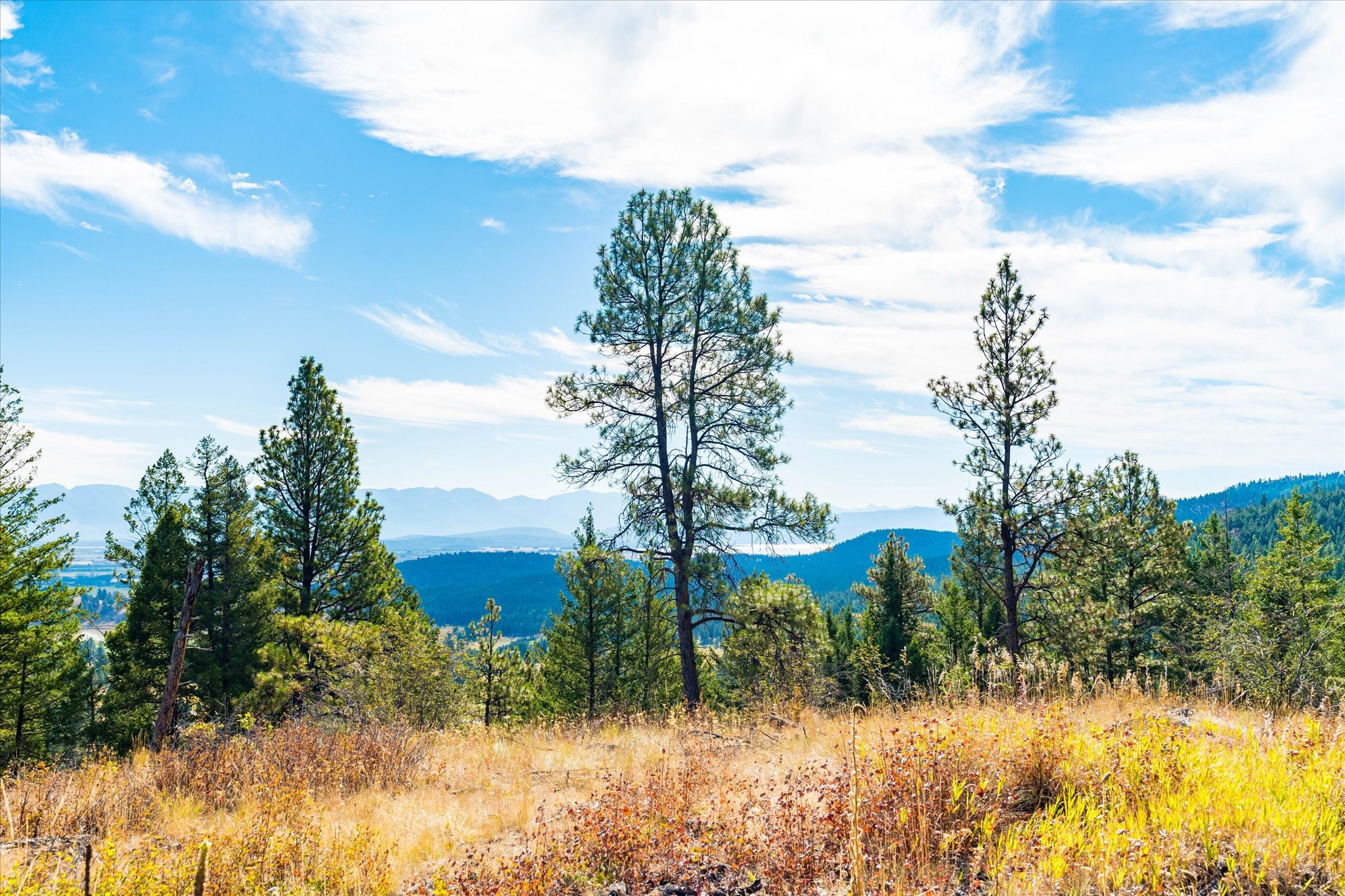 Kalispell, Montana 59901, United States, 2 Bedrooms Bedrooms, ,2 BathroomsBathrooms,Residential,Pending,43463