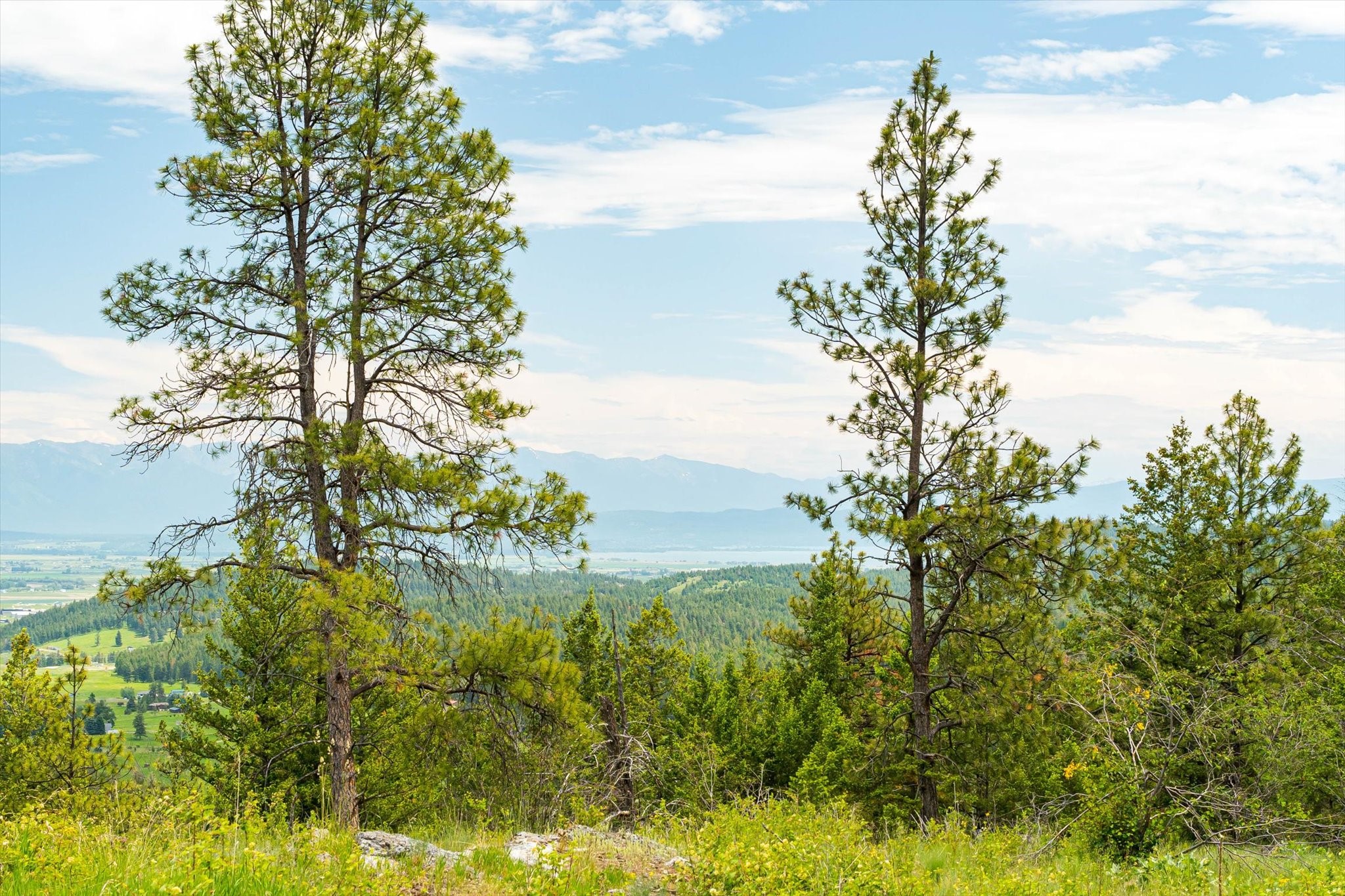 Kalispell, Montana 59901, United States, 2 Bedrooms Bedrooms, ,2 BathroomsBathrooms,Residential,Pending,43463