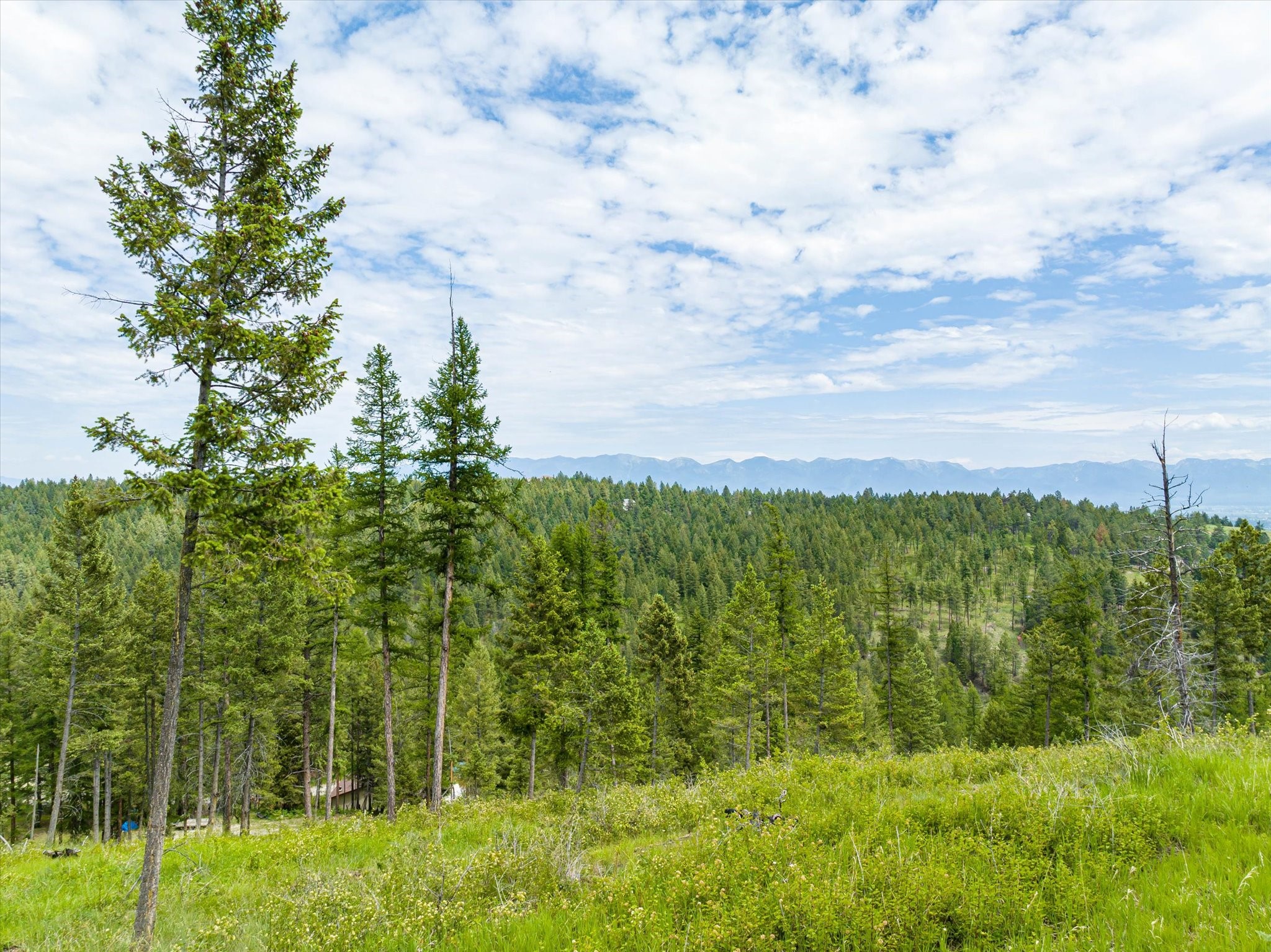 Kalispell, Montana 59901, United States, 2 Bedrooms Bedrooms, ,2 BathroomsBathrooms,Residential,Pending,43463