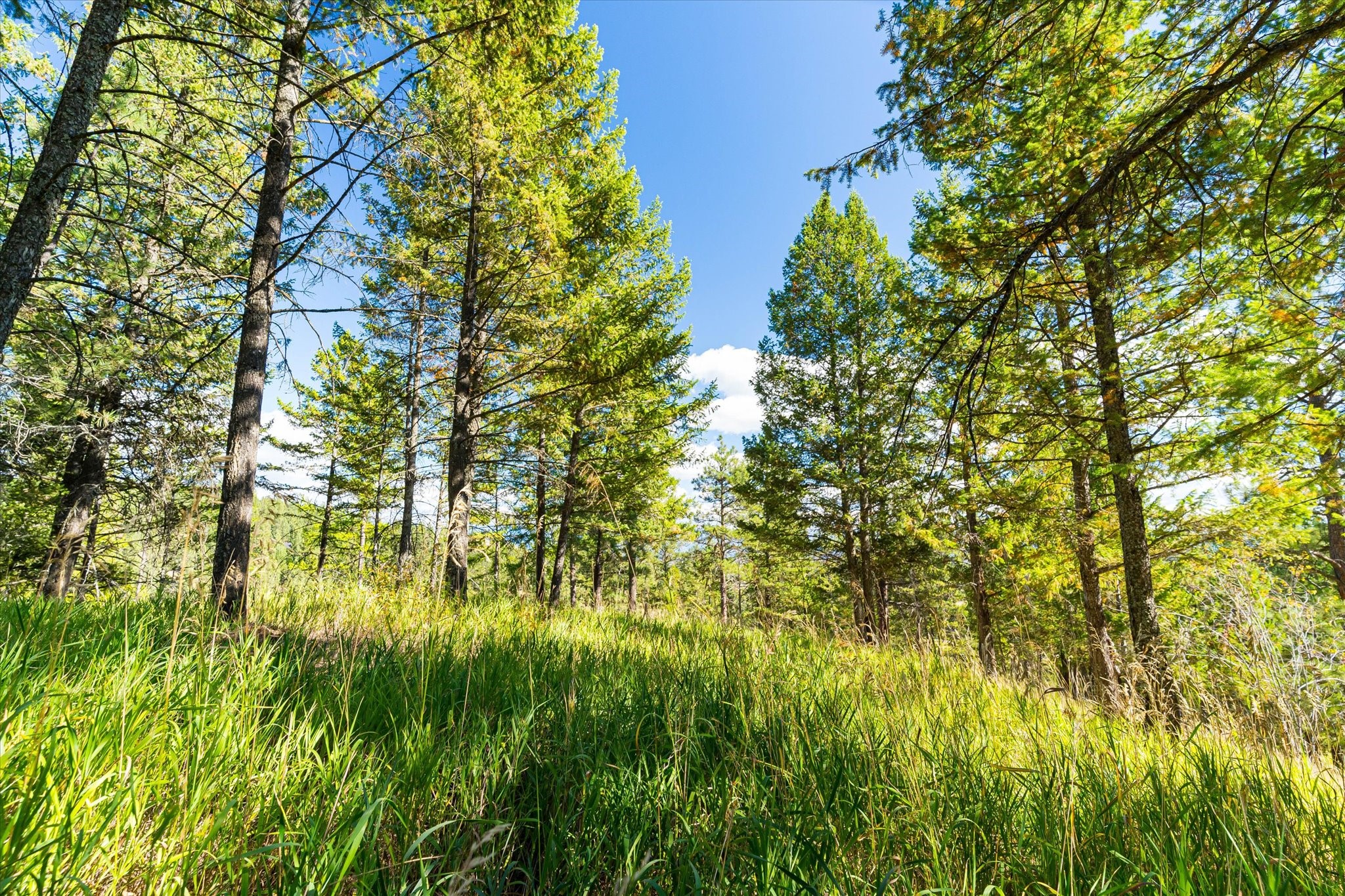 Kalispell, Montana 59901, United States, 2 Bedrooms Bedrooms, ,2 BathroomsBathrooms,Residential,Pending,43463