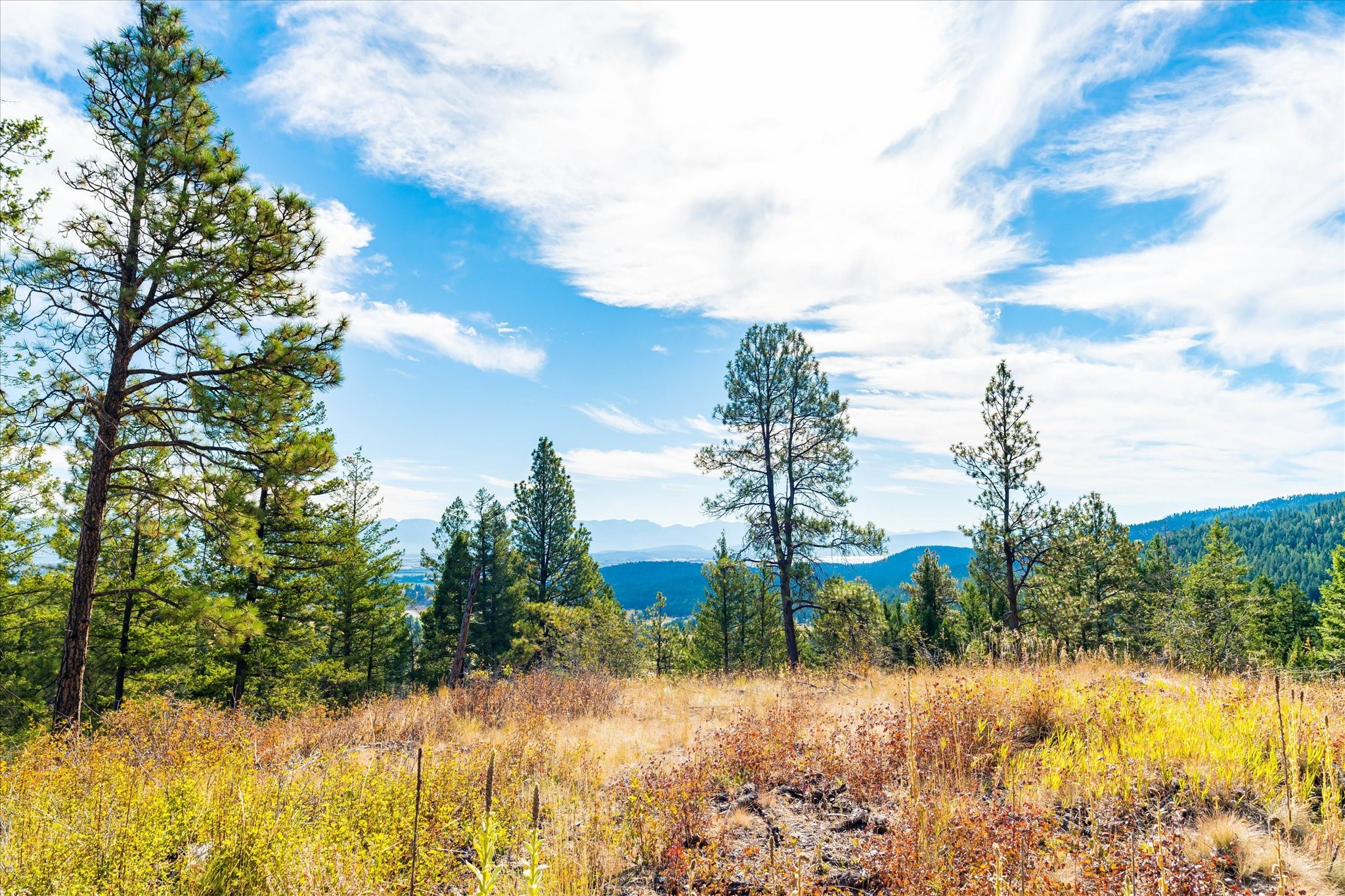 Kalispell, Montana 59901, United States, 2 Bedrooms Bedrooms, ,2 BathroomsBathrooms,Residential,Pending,43463