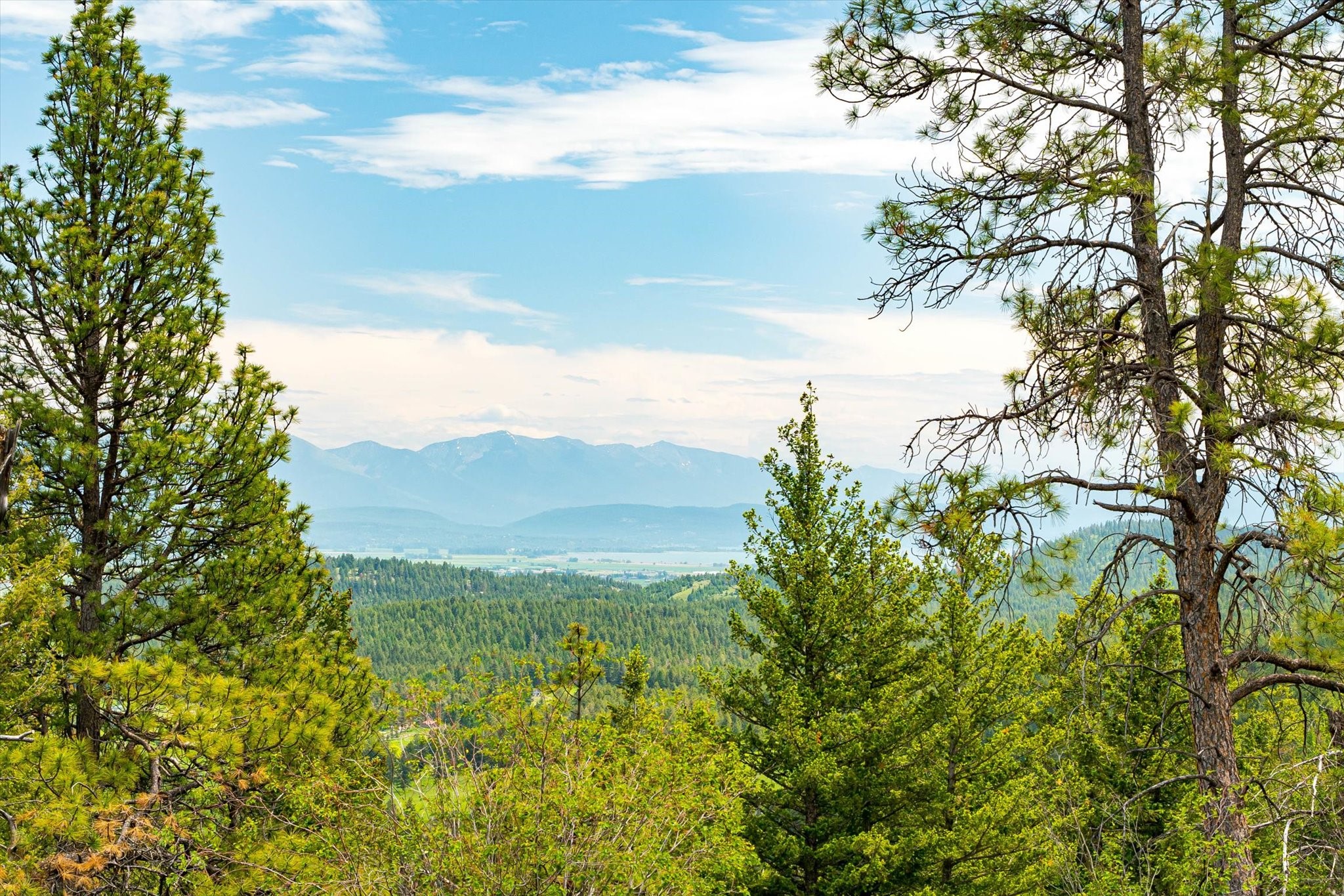 Kalispell, Montana 59901, United States, 2 Bedrooms Bedrooms, ,2 BathroomsBathrooms,Residential,Pending,43463