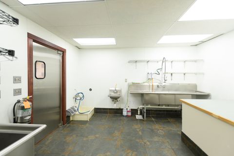 Tiny photo for 613 S Atlantic Street, Dillon, MT 59725 (MLS # 30069139)