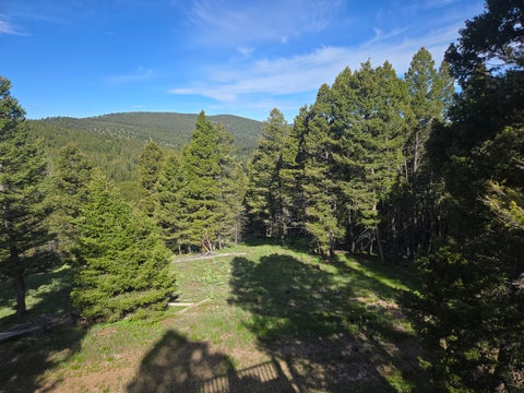 Tiny photo for 13689 Hoover Creek Road, Helmville, MT 59843 (MLS # 30072679)