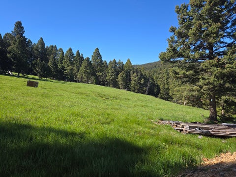 Tiny photo for 13689 Hoover Creek Road, Helmville, MT 59843 (MLS # 30072679)