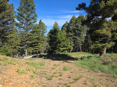 Tiny photo for 13689 Hoover Creek Road, Helmville, MT 59843 (MLS # 30072679)