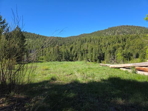 Tiny photo for 13689 Hoover Creek Road, Helmville, MT 59843 (MLS # 30072679)