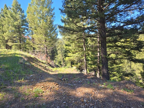 Tiny photo for 13689 Hoover Creek Road, Helmville, MT 59843 (MLS # 30072679)