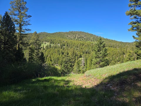 Tiny photo for 13689 Hoover Creek Road, Helmville, MT 59843 (MLS # 30072679)