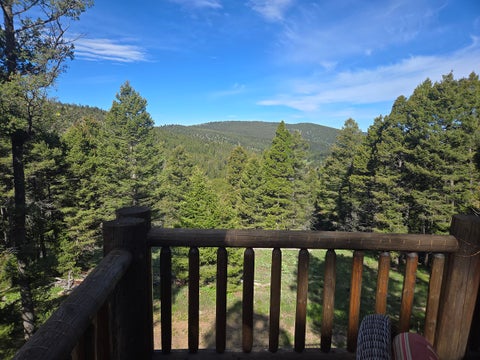 Tiny photo for 13689 Hoover Creek Road, Helmville, MT 59843 (MLS # 30072679)