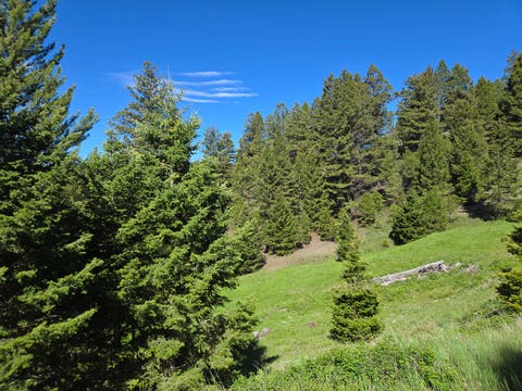 Tiny photo for 13689 Hoover Creek Road, Helmville, MT 59843 (MLS # 30072679)