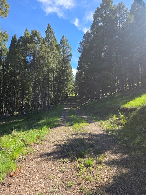 Tiny photo for 13689 Hoover Creek Road, Helmville, MT 59843 (MLS # 30072679)