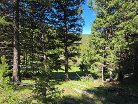 Tiny photo for 13689 Hoover Creek Road, Helmville, MT 59843 (MLS # 30072679)