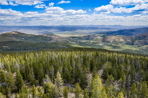 Photo of NHN Rosa Trail, Anaconda, MT 59711 (MLS # 30073558)