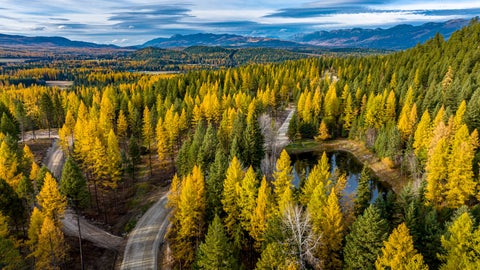 Tiny photo for 1173 Whitefish Ridge Road, Whitefish, MT 59937 (MLS # 30074048)