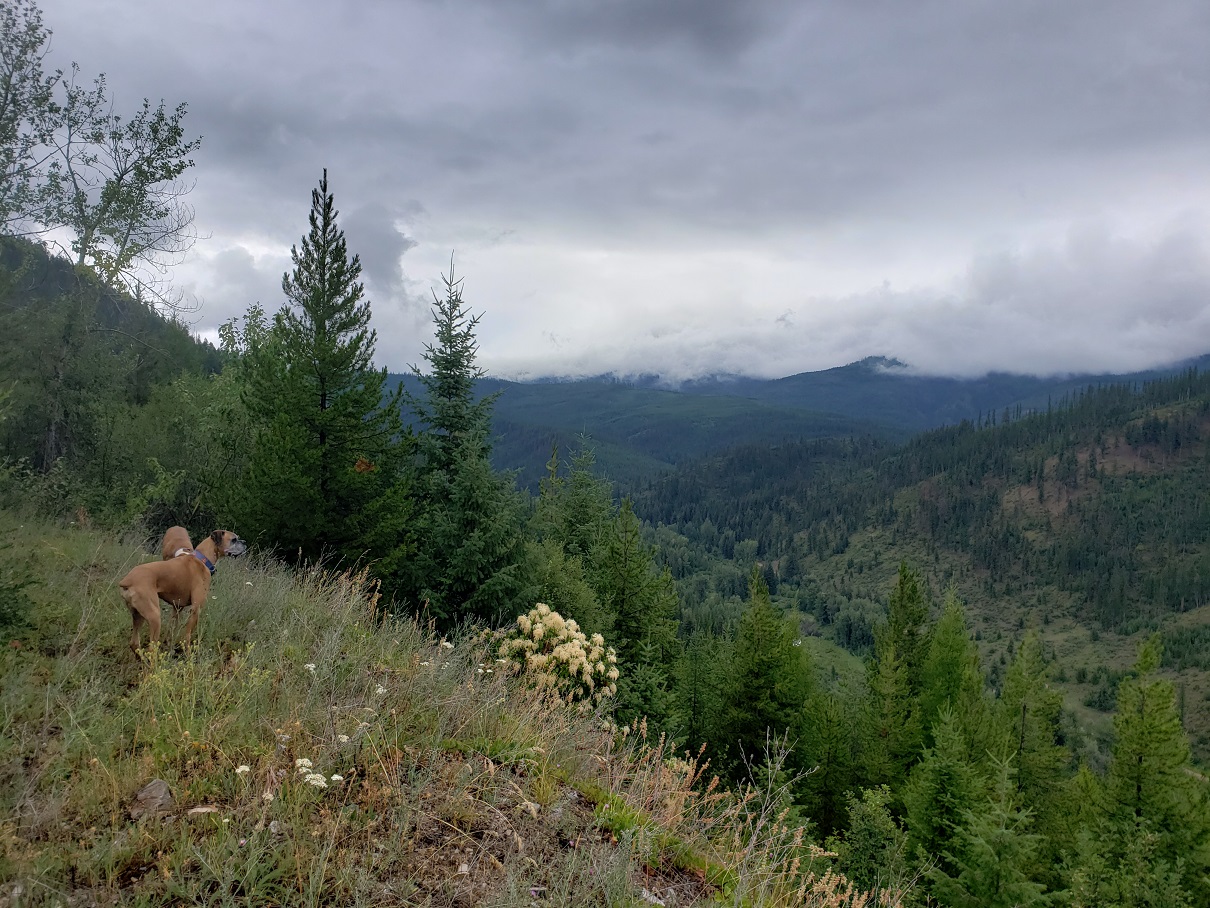 Lot 19 Nine Mile Road