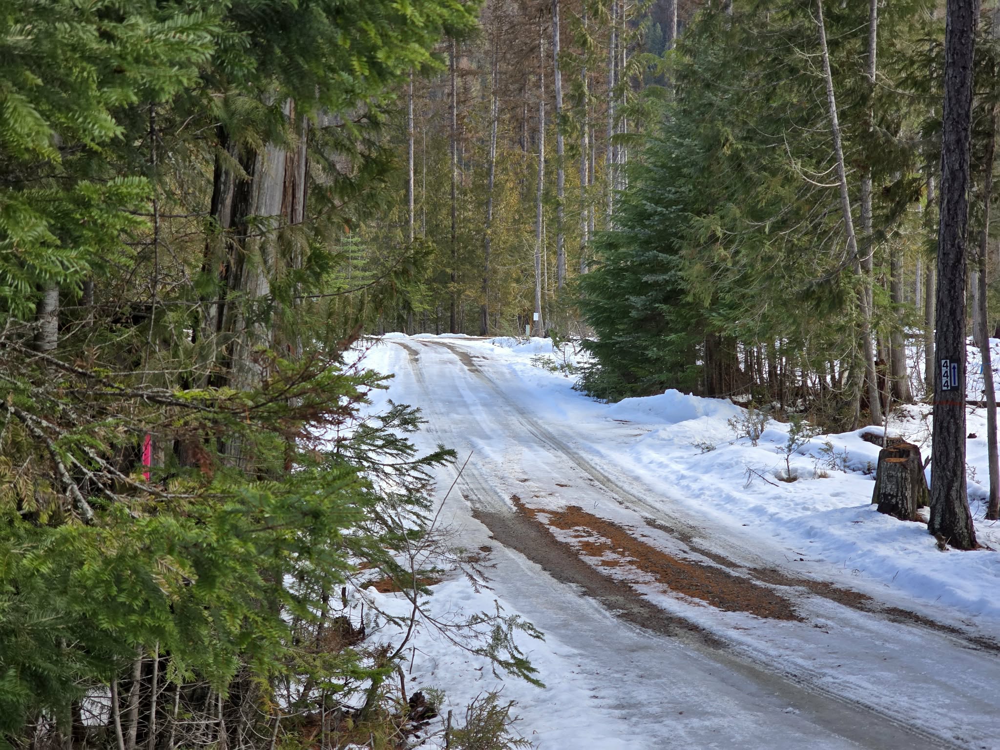 401 Western Larch Lane