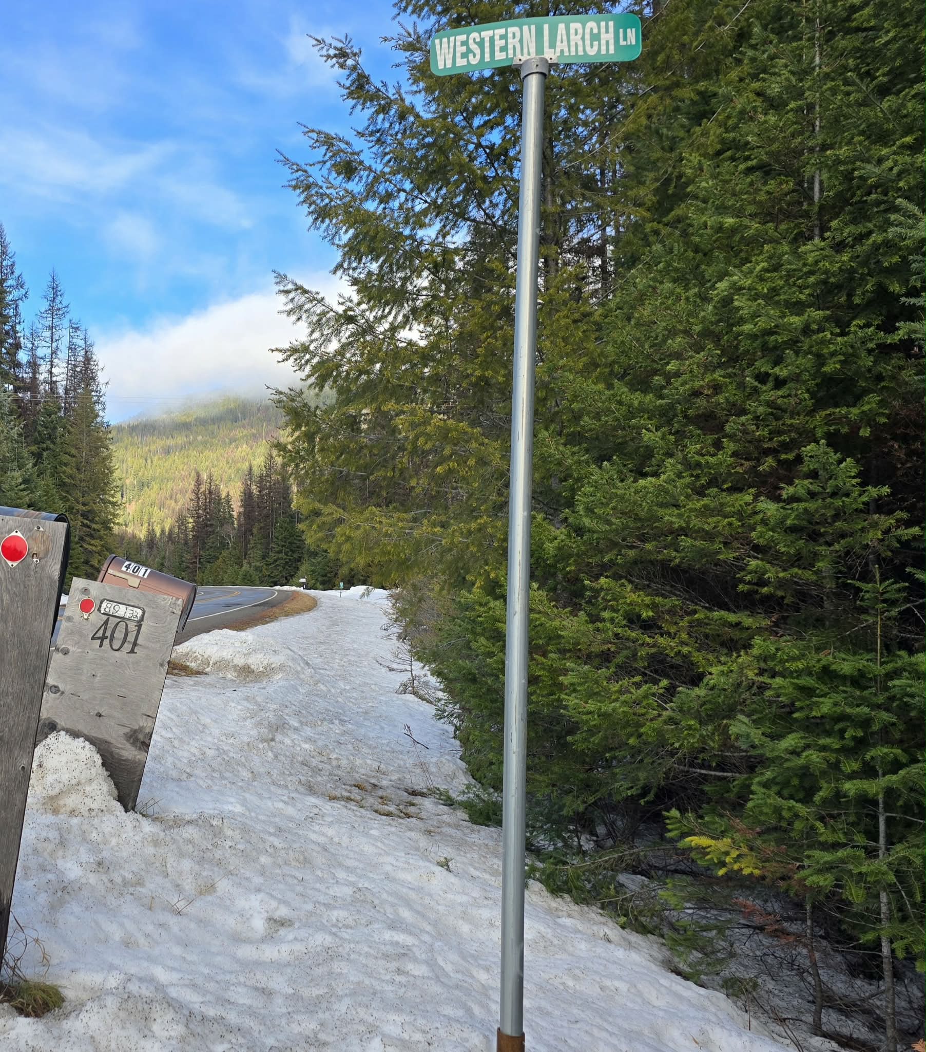 401 Western Larch Lane