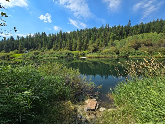 1054 TAMARACK LN, TROY, MT 59935 - Image 4792a4cbb74997d363df2d618bd4146d/1317004718