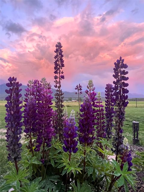 Tiny photo for 790 Fox Den Trail, Kalispell, MT 59901 (MLS # 30070714)