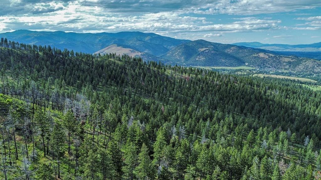 Photo of 15100 Rock Ridge Road, Florence, MT 59833 (MLS # 30023373)