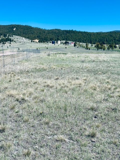 Tiny photo for Whiskey Flats Stevie Lane/S. Sunbear Drive, Philipsburg, MT 59858 (MLS # 30070768)