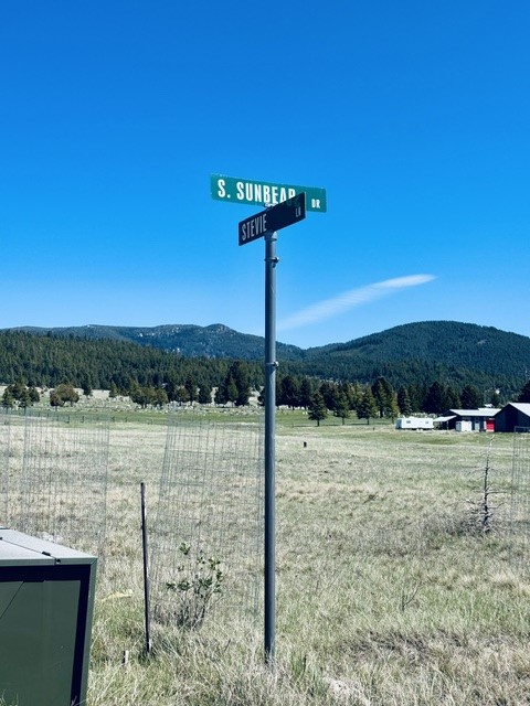 Whiskey Flats Stevie Lane/S. Sunbear Drive