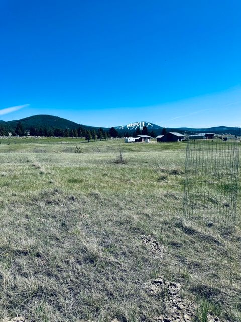 Tiny photo for Whiskey Flats Stevie Lane/S. Sunbear Drive, Philipsburg, MT 59858 (MLS # 30070768)
