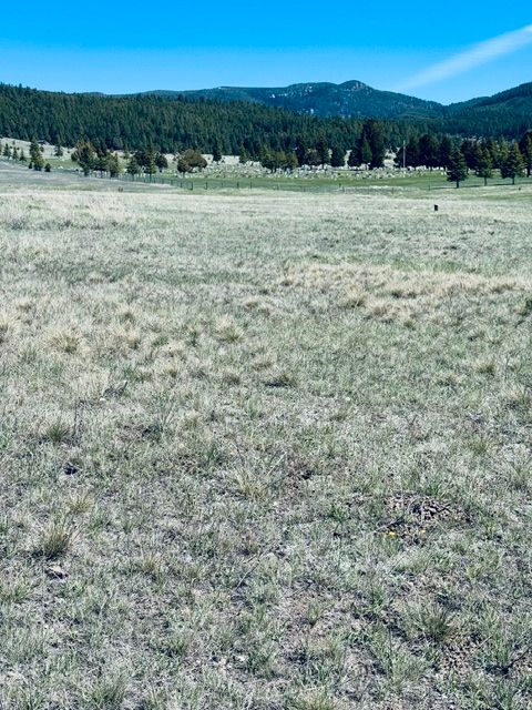 Tiny photo for Whiskey Flats Stevie Lane/S. Sunbear Drive, Philipsburg, MT 59858 (MLS # 30070768)