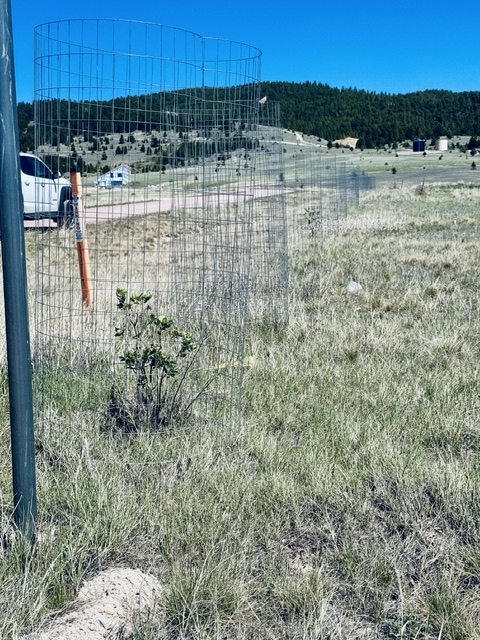 Whiskey Flats Stevie Lane/S. Sunbear Drive