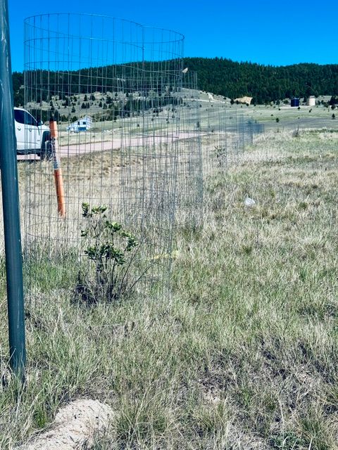 Tiny photo for Whiskey Flats Stevie Lane/S. Sunbear Drive, Philipsburg, MT 59858 (MLS # 30070768)